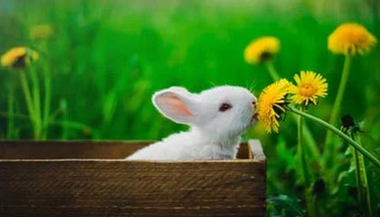 商务模特的工作内容